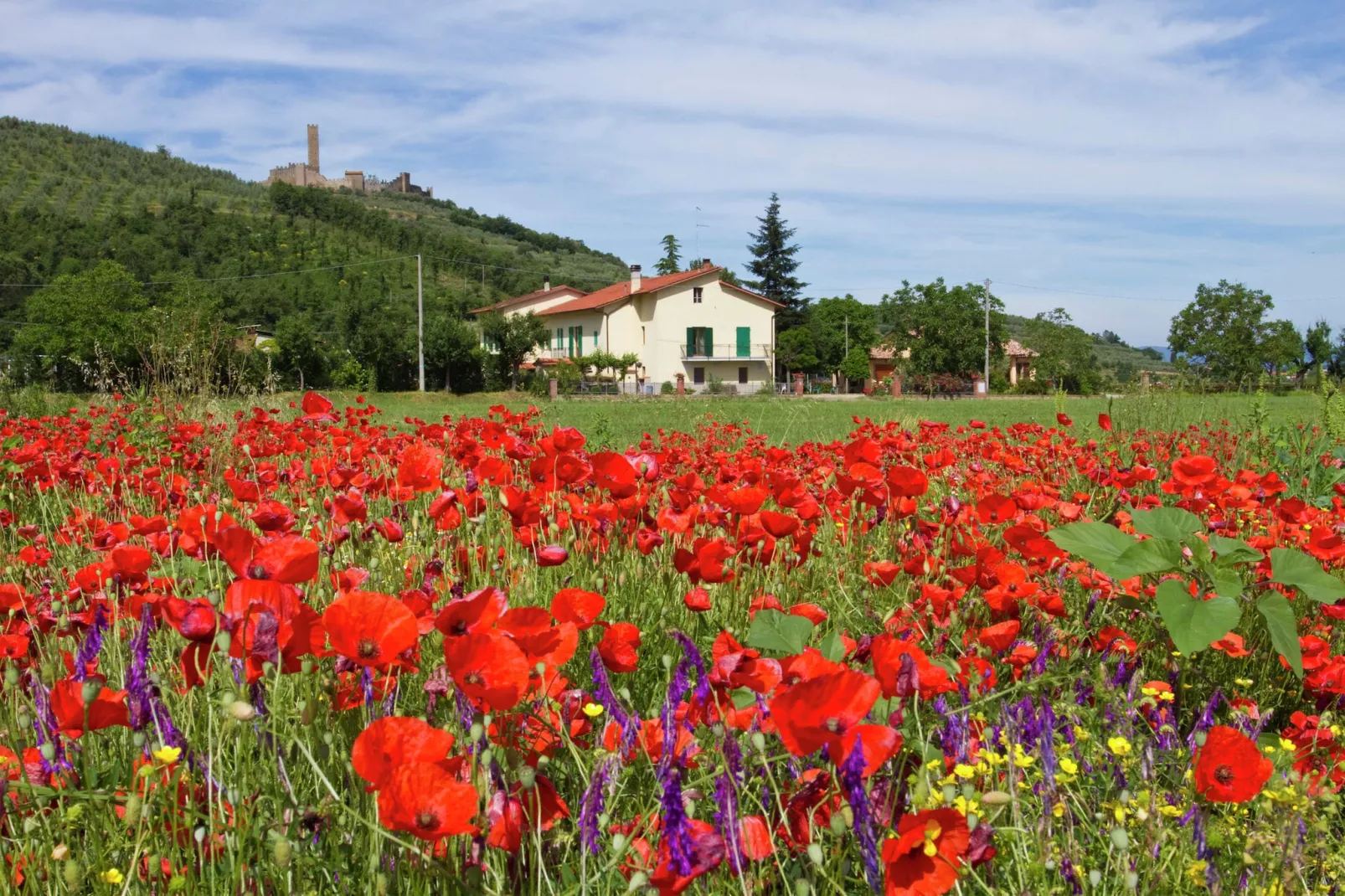 Montecchio-Buitenkant zomer