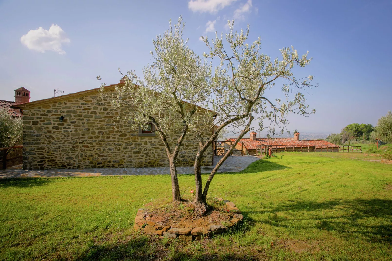 San Martino Ulivi-Tuinen zomer