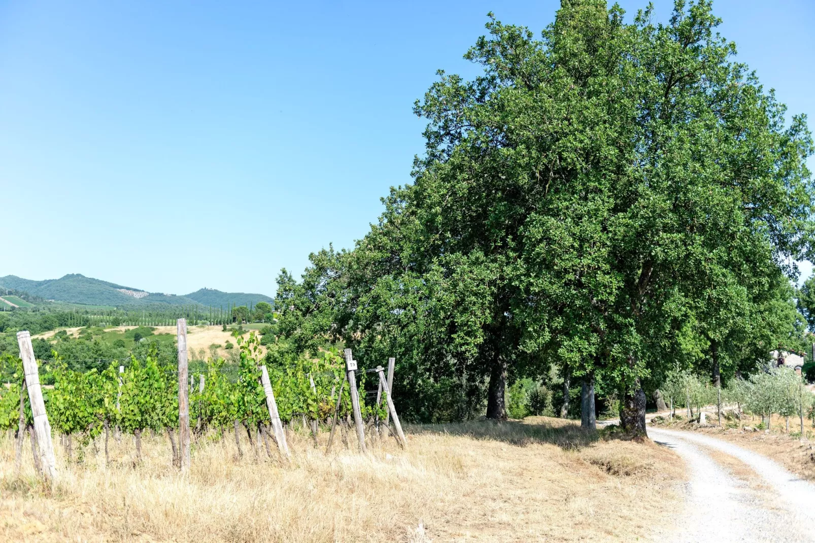 Villa  Le Trappoline-Gebieden zomer 5km