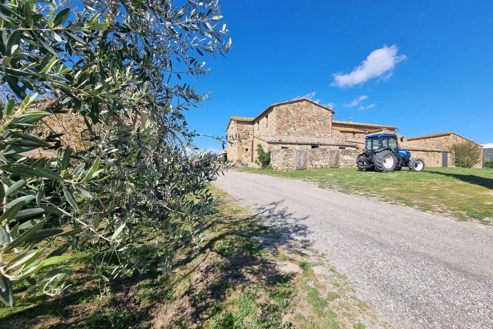 Casanuova di Quercecchio-Buitenkant zomer