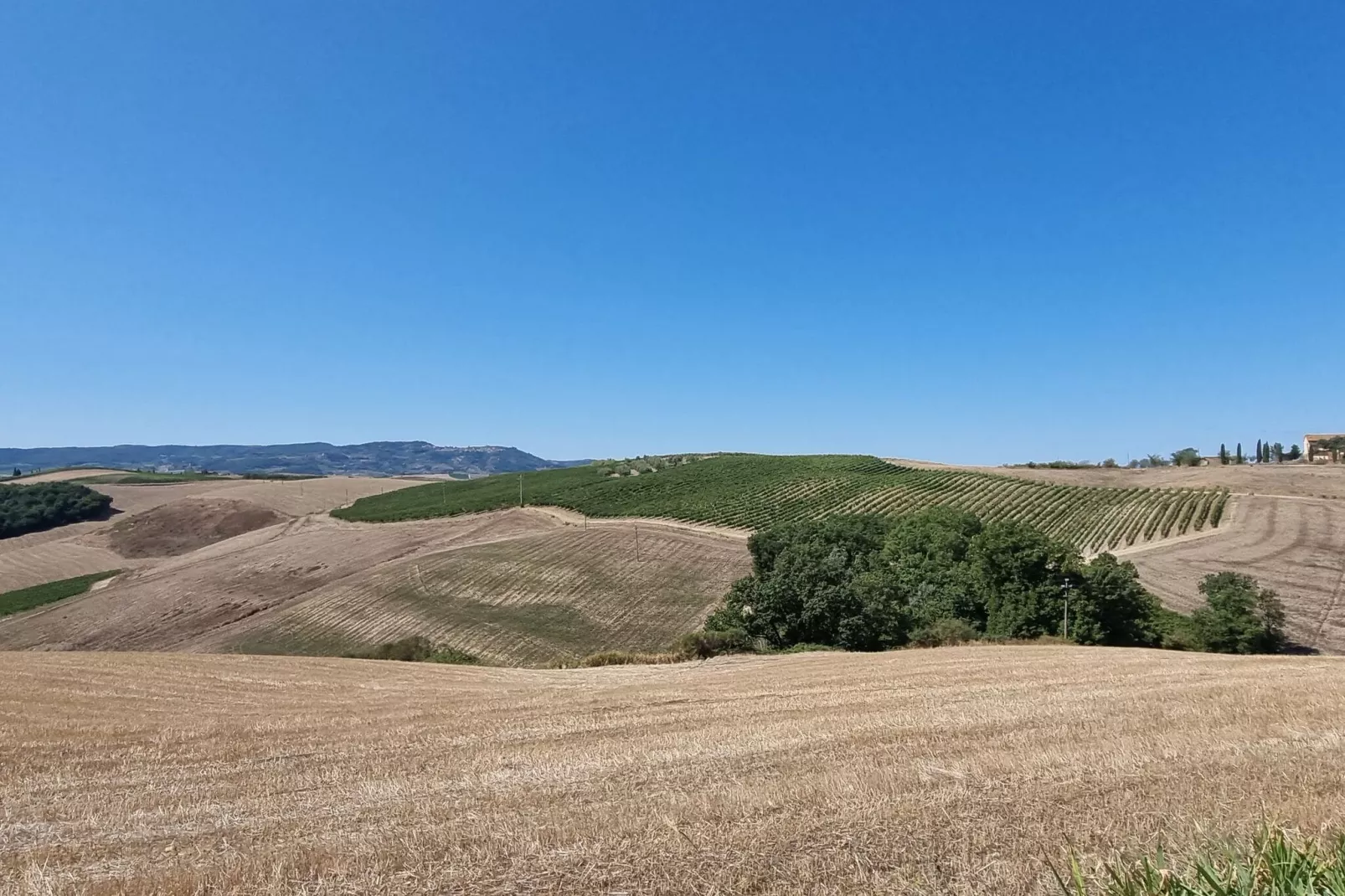 Casanuova di Quercecchio-Uitzicht zomer
