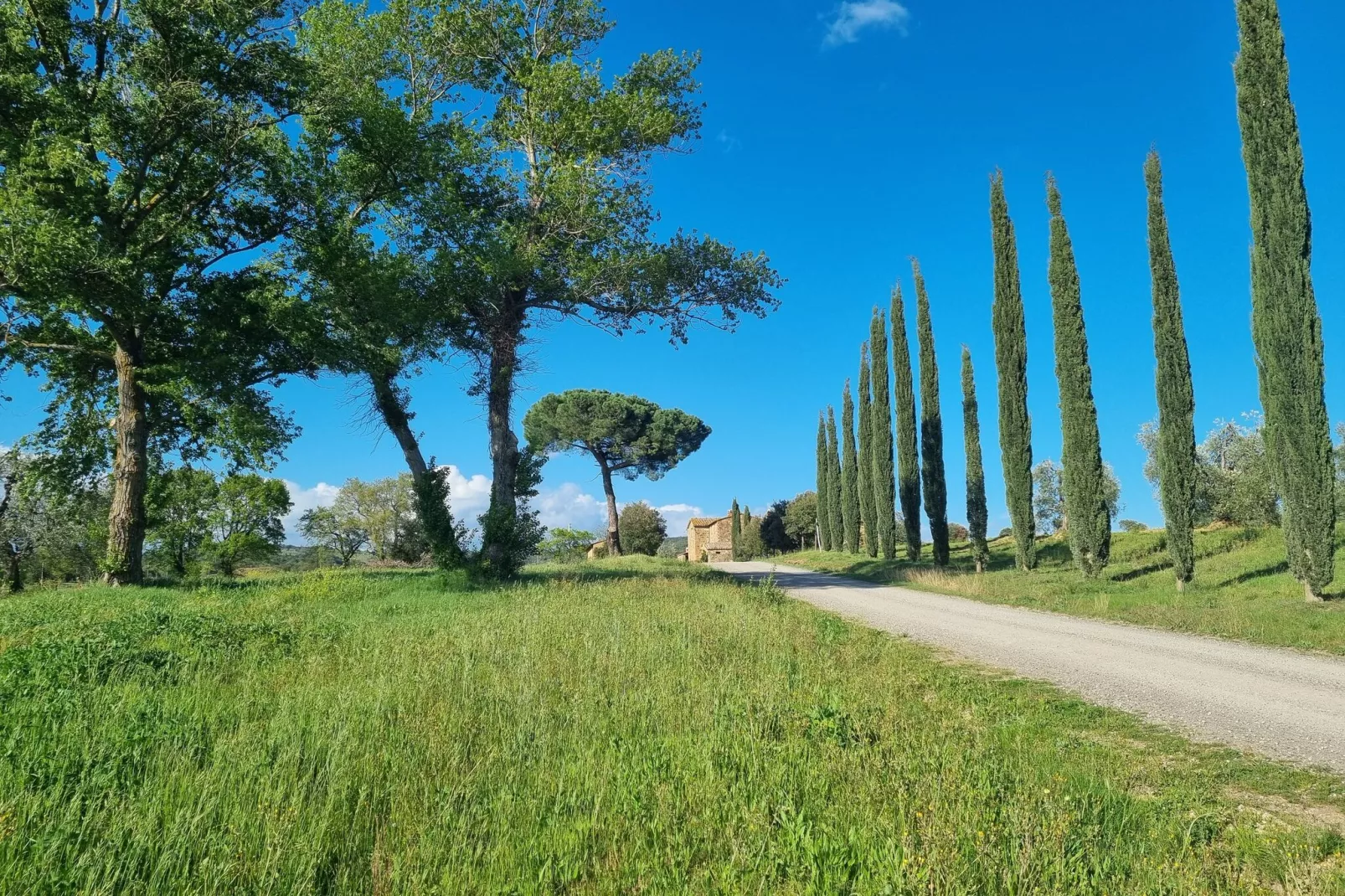 Casanuova di Quercecchio-Uitzicht zomer