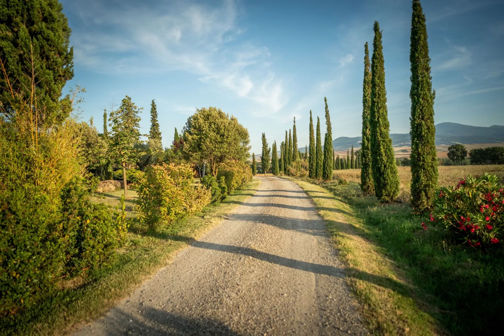 Villa Dezi-Gebieden zomer 1km