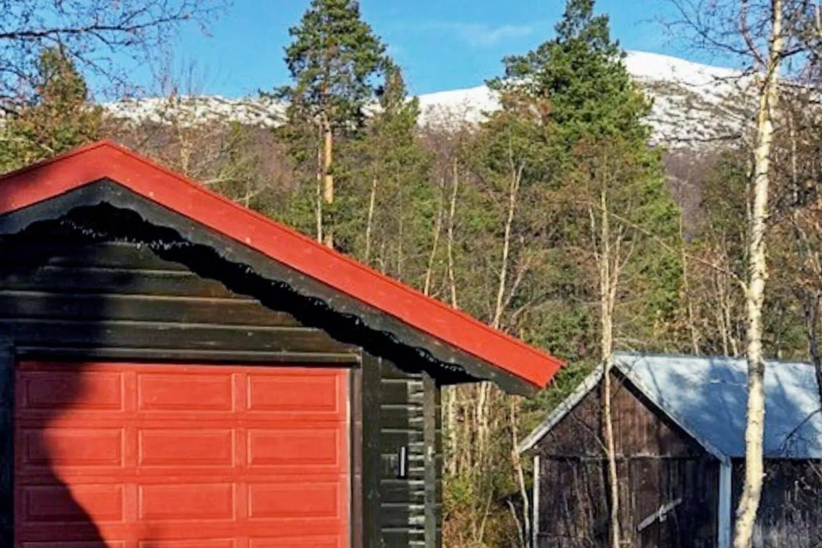 8 persoons vakantie huis in Lesjaskog-Buitenlucht