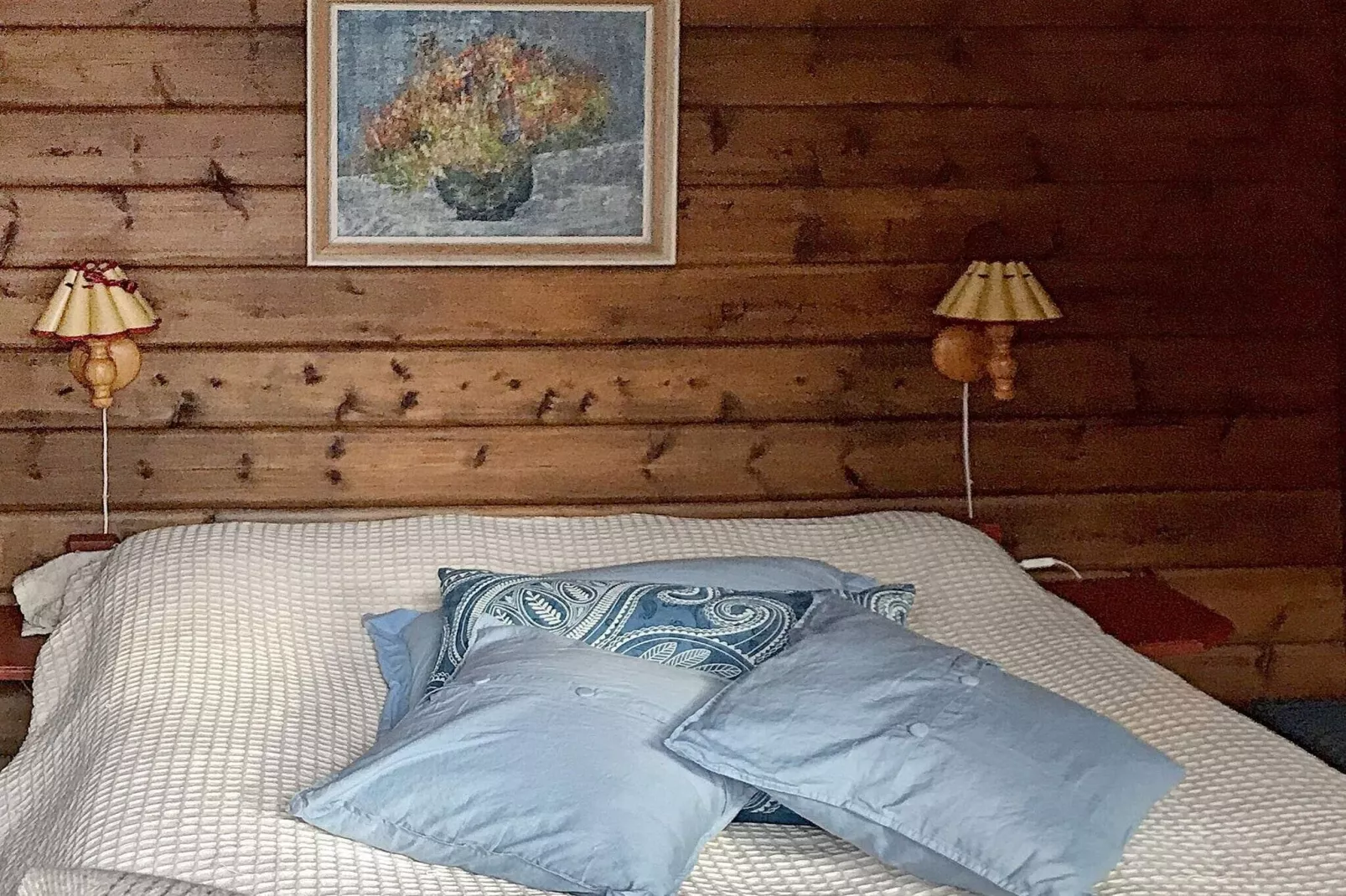 8 persoons vakantie huis in Lesjaskog-Binnen