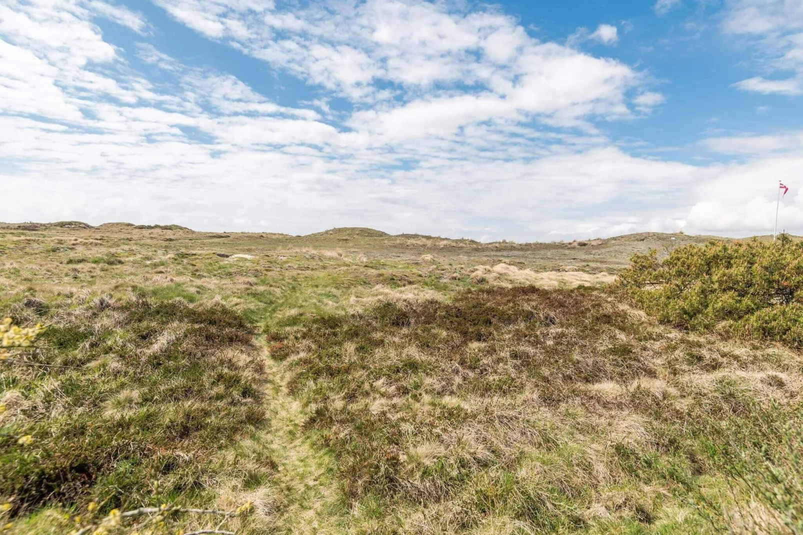 6 persoons vakantie huis in Fanø-Buitenlucht