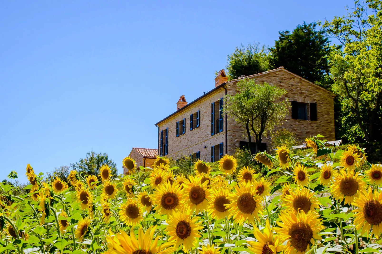 Villa Eleganza