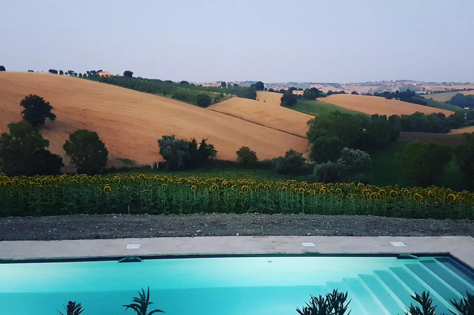 Villa Eleganza-Zwembad