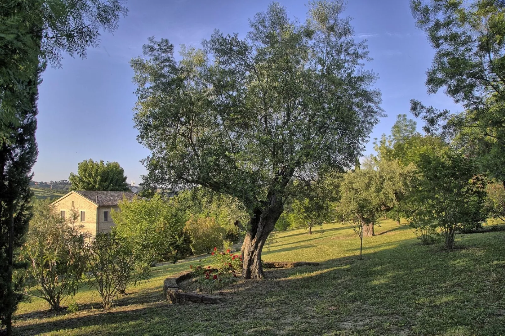 Cottage Della Musica-Tuinen zomer