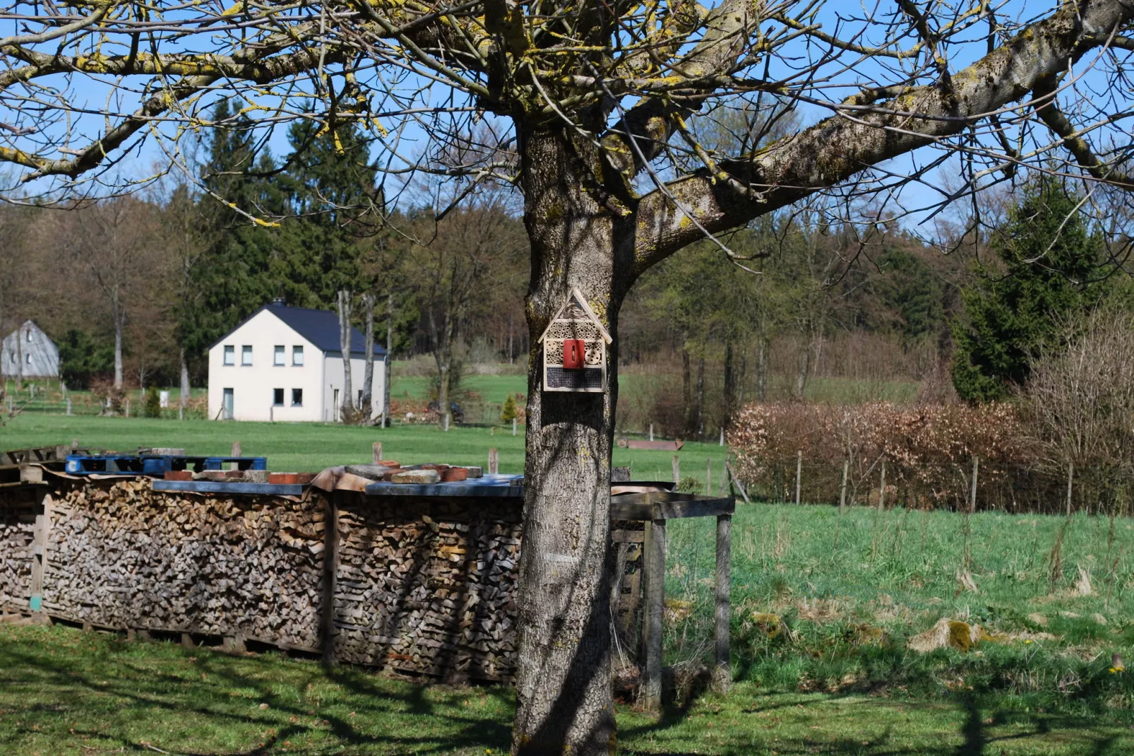 Gite de Haute Bosfagne-Tuin winter