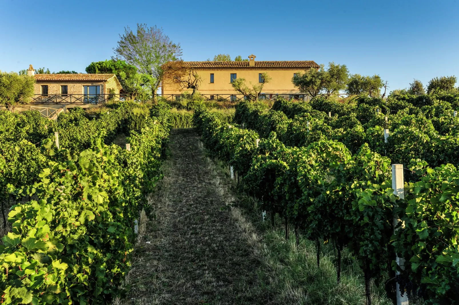 Villa Fiorini-Gebieden zomer 1km