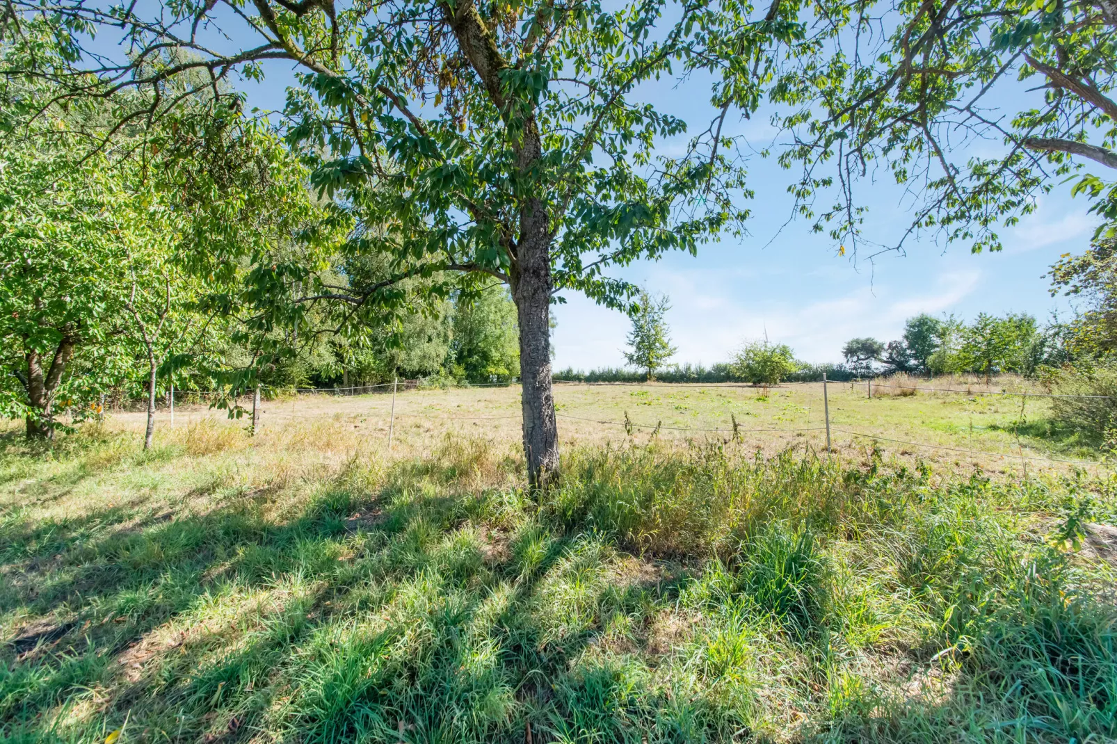 La Grande Ferme-Gebieden zomer 1km