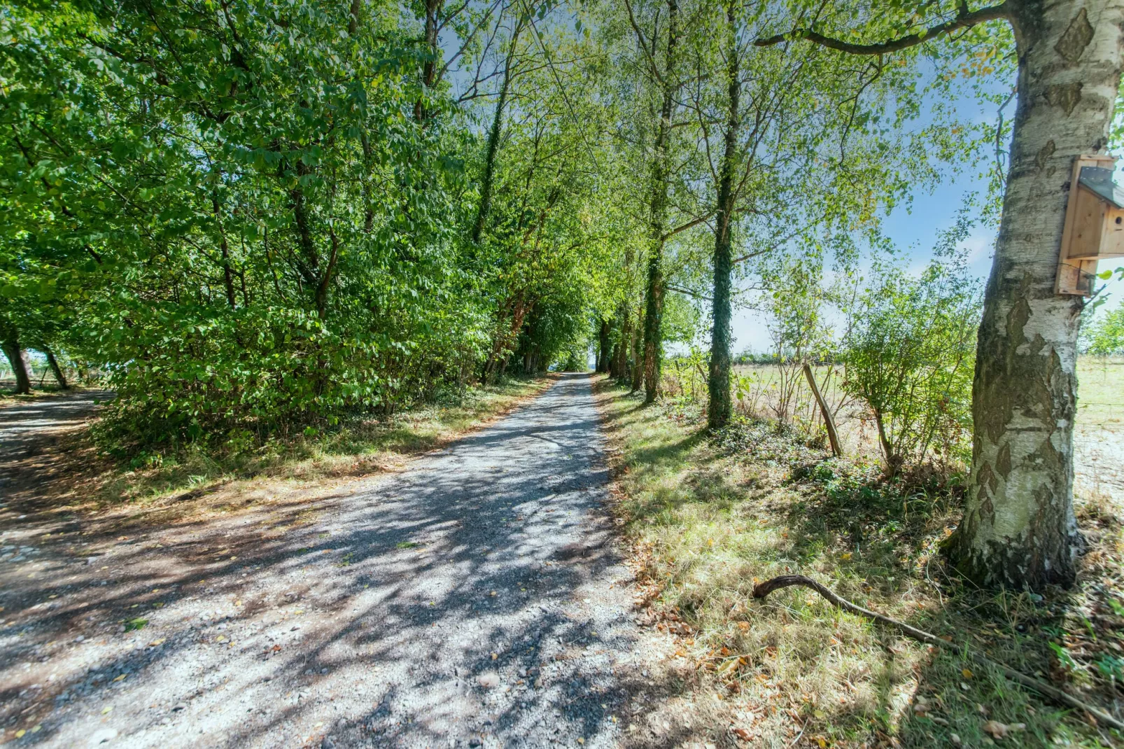 La Grande Ferme-Gebieden zomer 1km