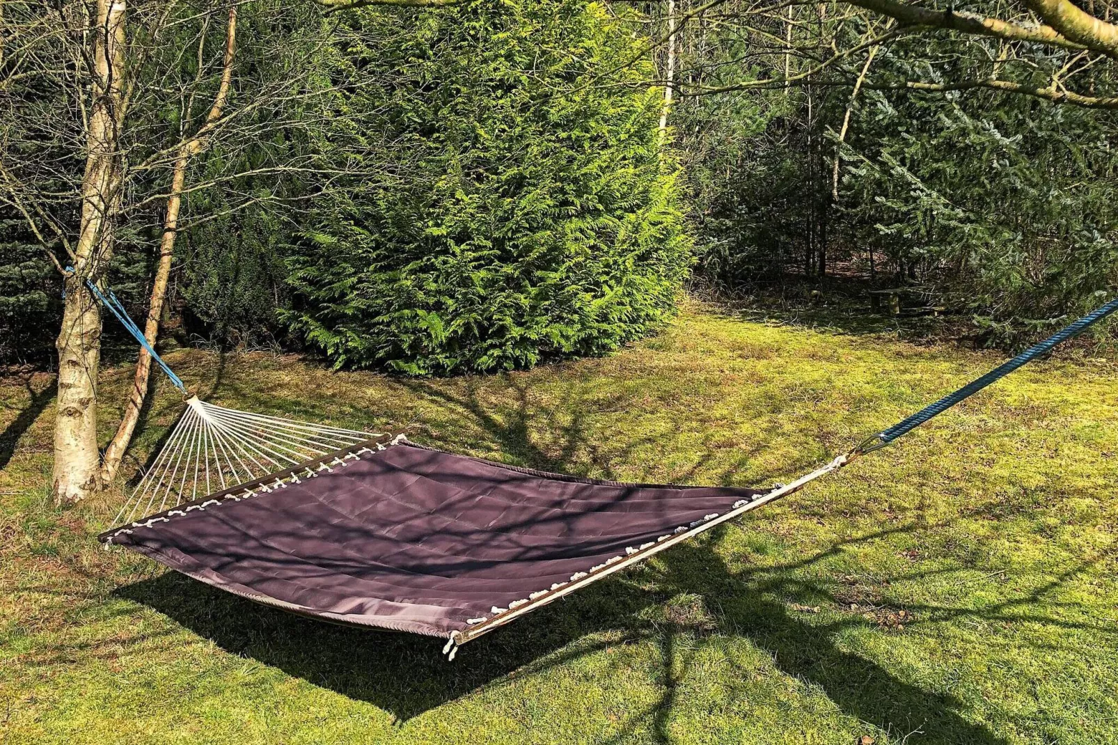 6 persoons vakantie huis in Højslev-Buitenlucht
