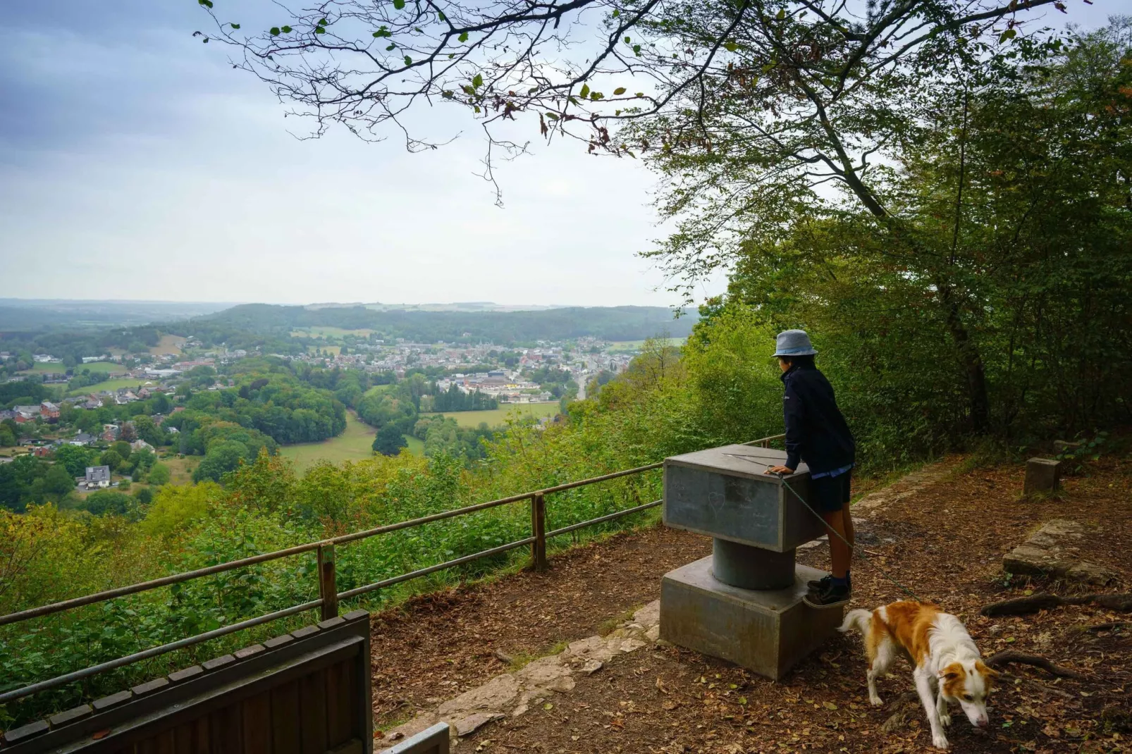 La Moineaudière-Gebieden zomer 1km