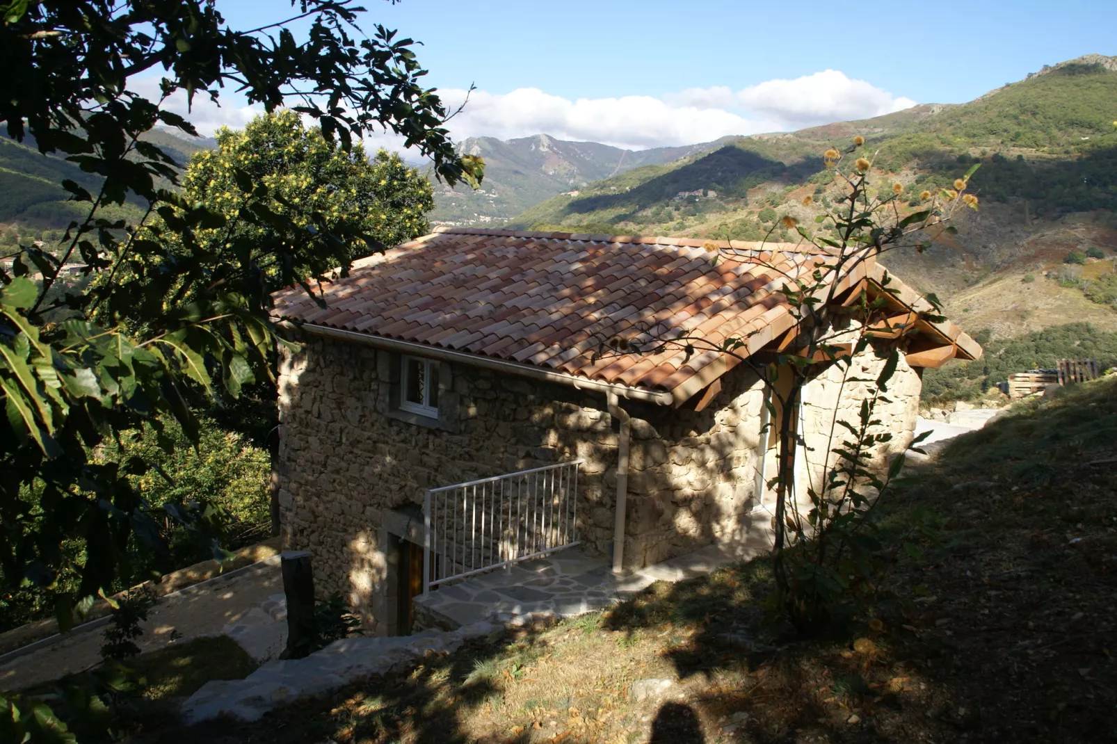 Maison de vacances - Saint-Pierre-de-Colombier-Buitenkant zomer