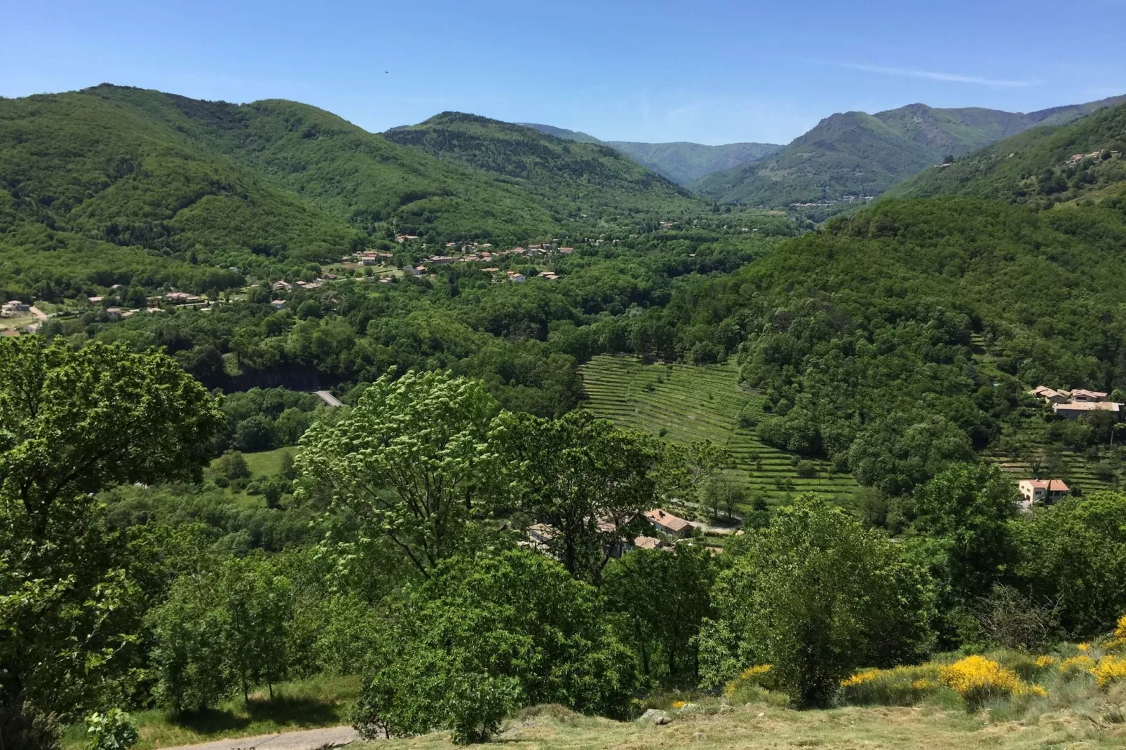 Maison de vacances - Saint-Pierre-de-Colombier-Uitzicht zomer