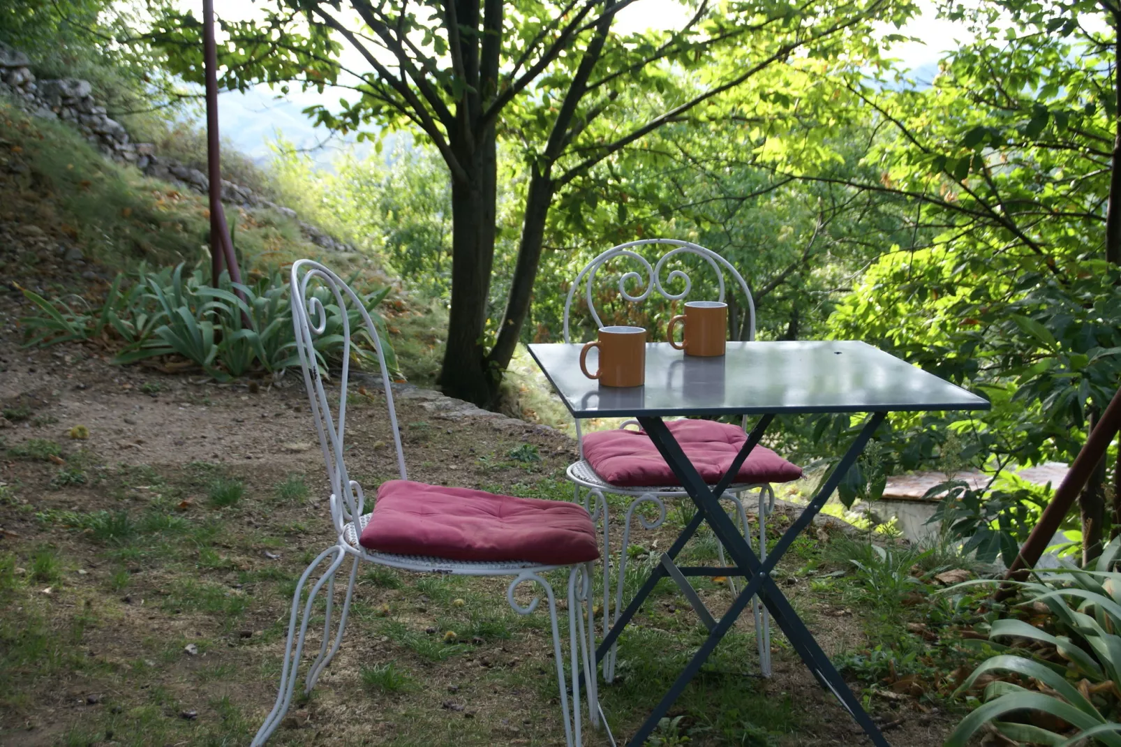 Maison de vacances - Saint-Pierre-de-Colombier-Terrasbalkon