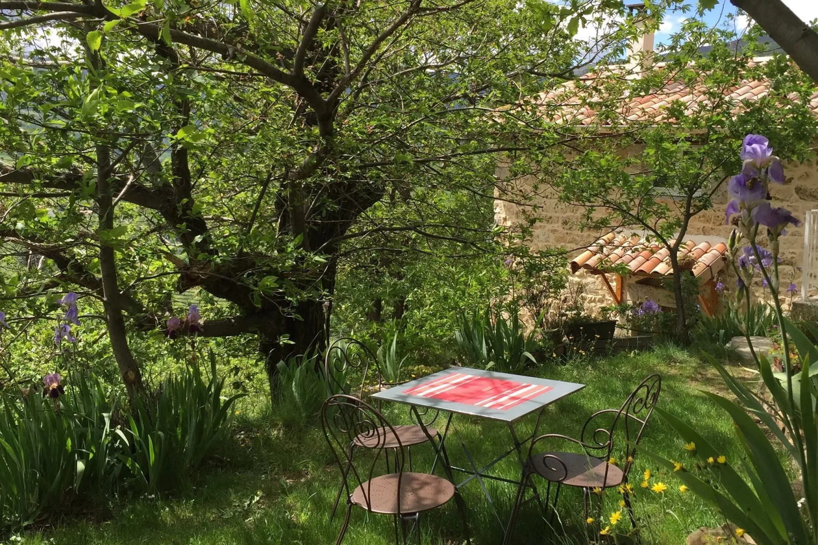 Maison de vacances - Saint-Pierre-de-Colombier-Tuinen zomer