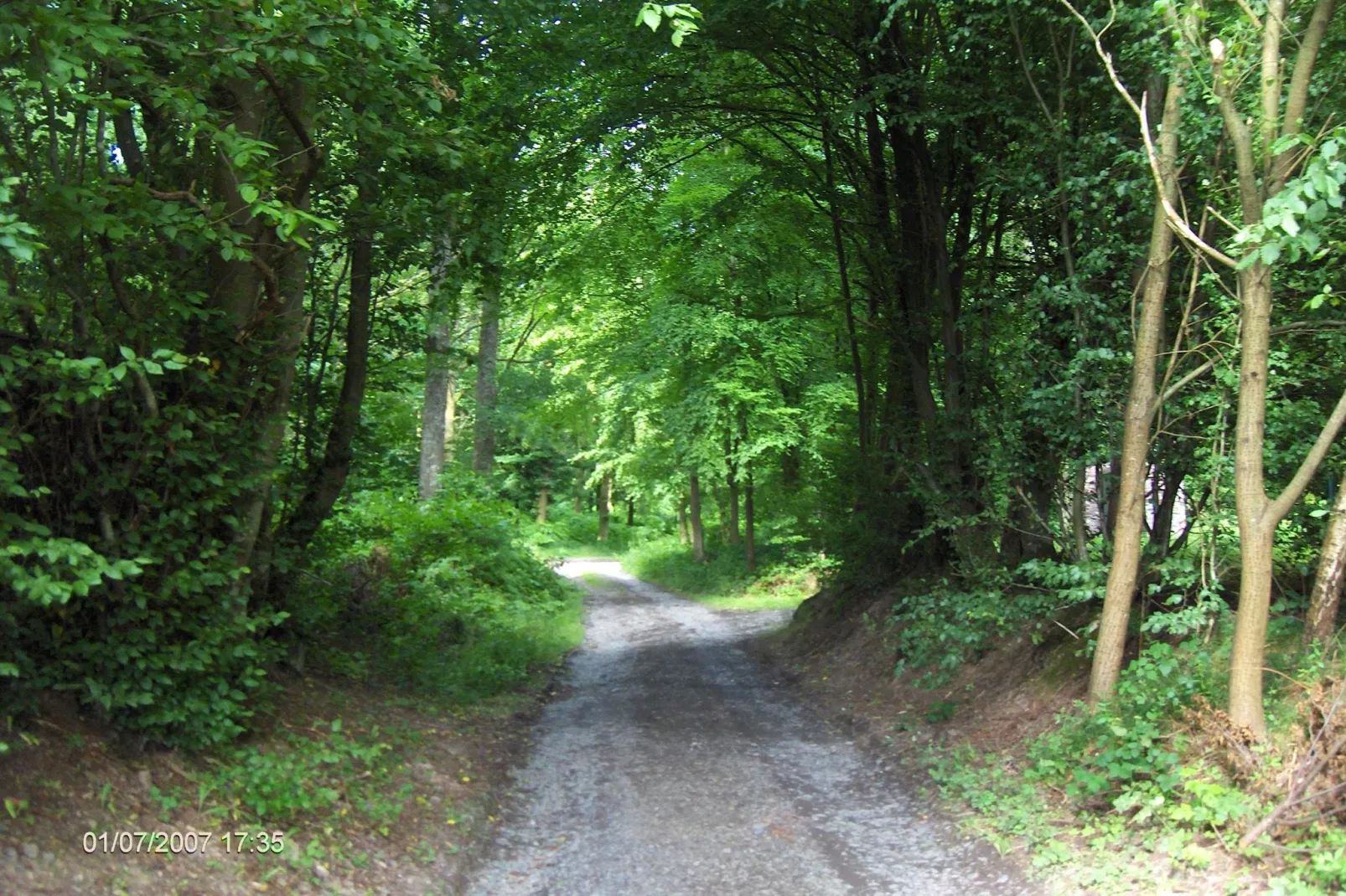 Les Sittelles-Gebieden zomer 1km