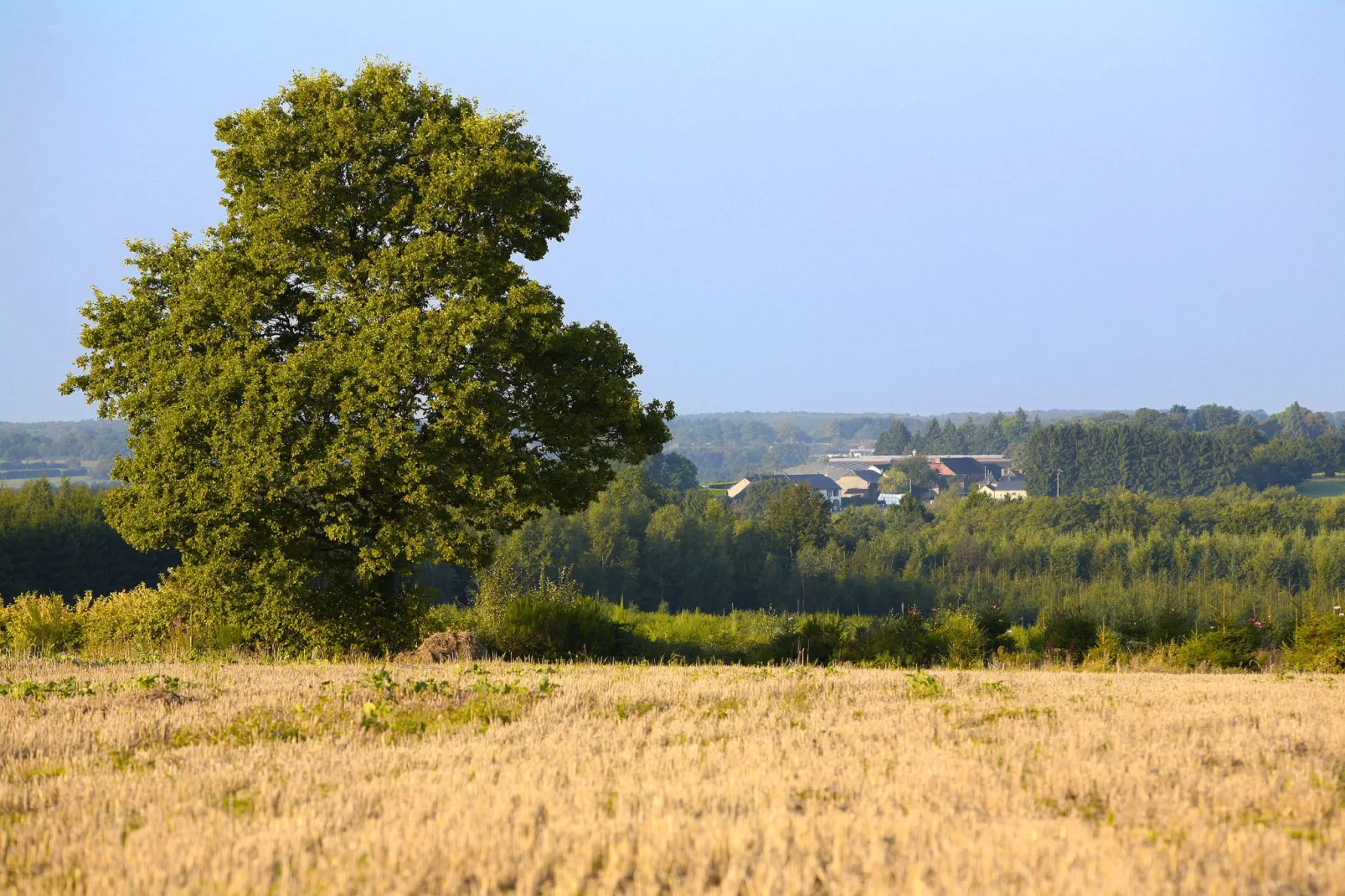 Les Sittelles-Gebieden zomer 1km