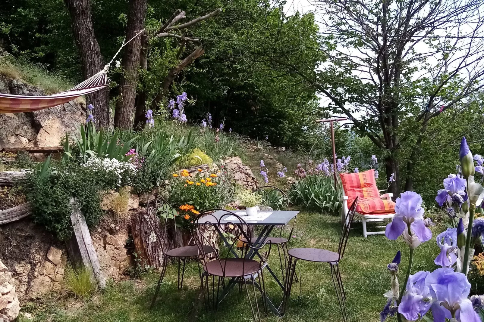 Maison de vacances - Saint-Pierre-de-Colombier-Buitenkant zomer