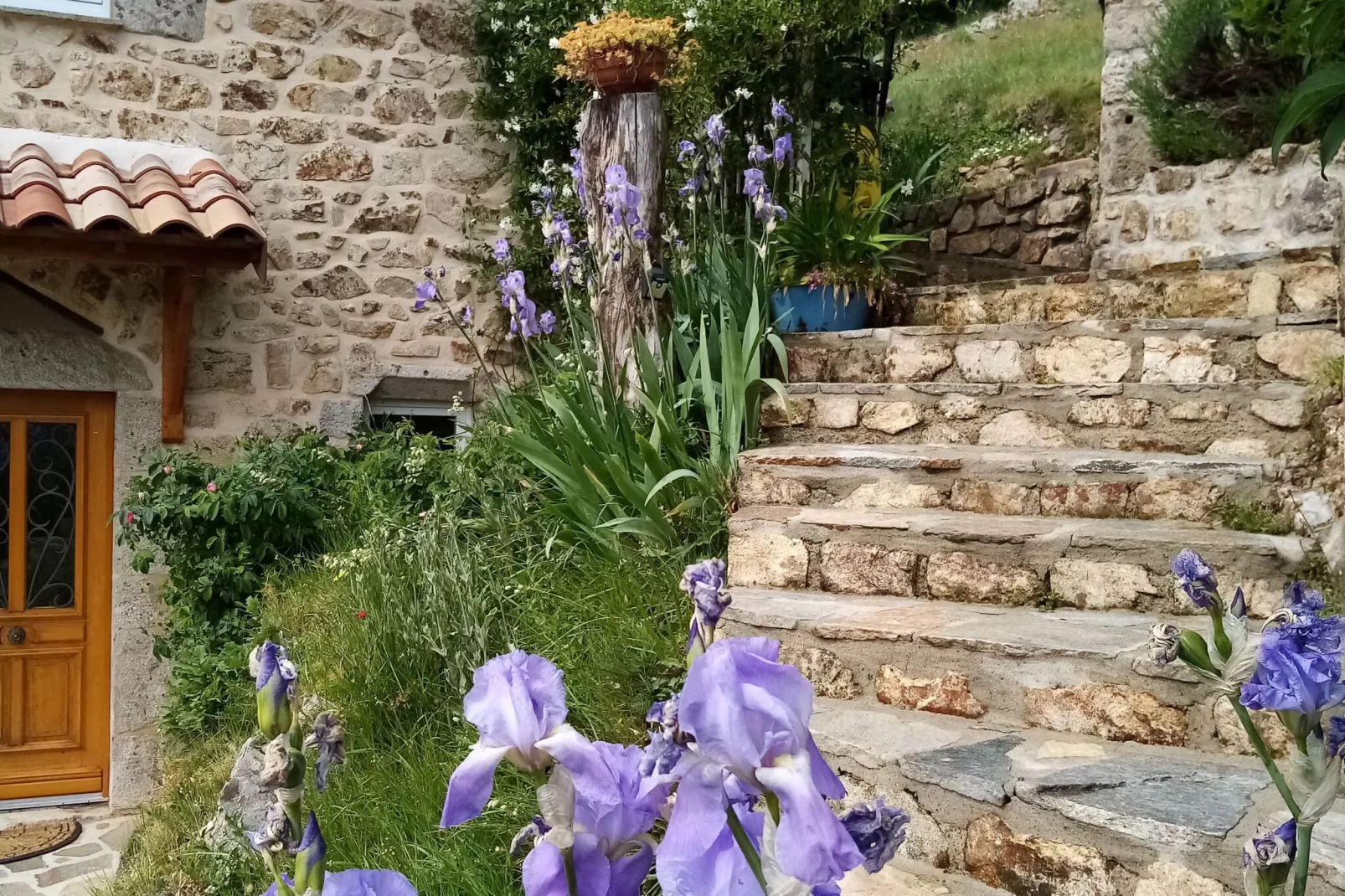 Maison de vacances - Saint-Pierre-de-Colombier-Buitenkant zomer