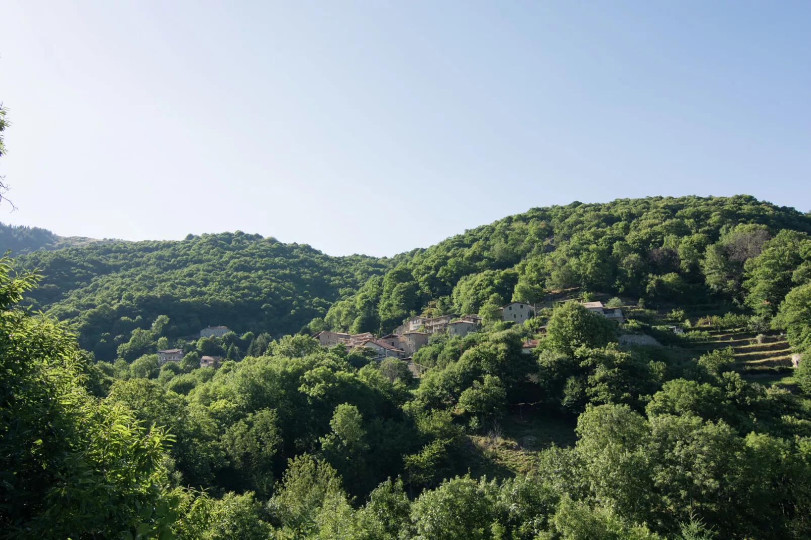 La Roche-Gebieden zomer 1km