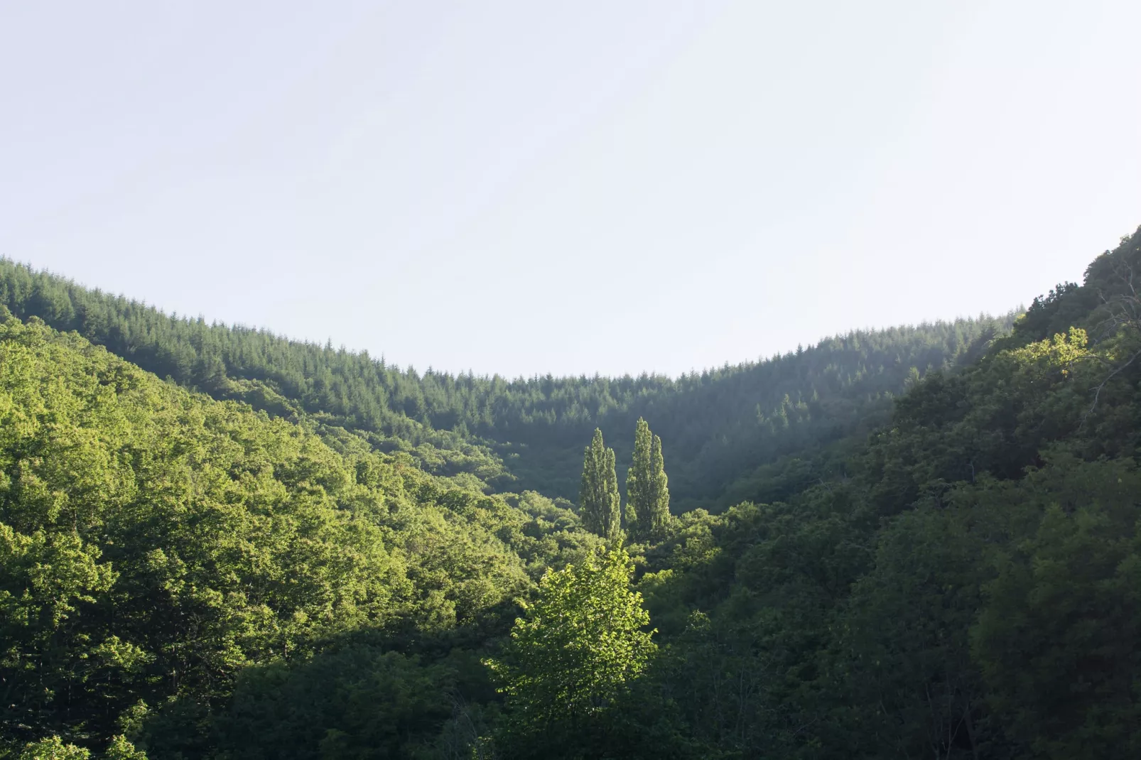 La Roche-Gebieden zomer 5km