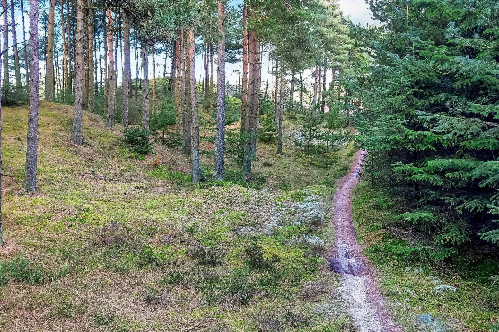 6 persoons vakantie huis in Fjerritslev-Uitzicht