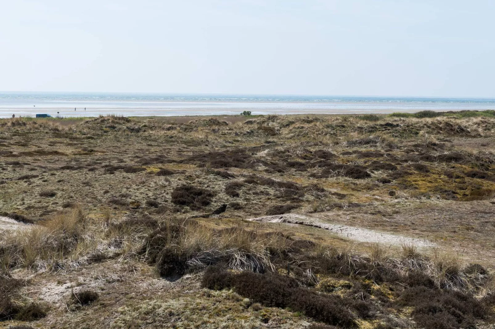 6 persoons vakantie huis in Fanø-Binnen