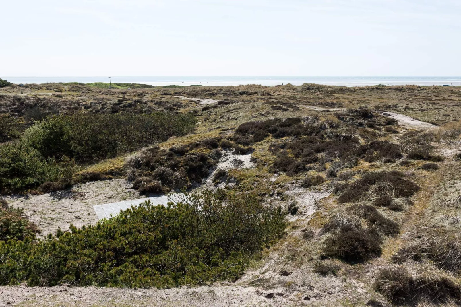 6 persoons vakantie huis in Fanø-Binnen