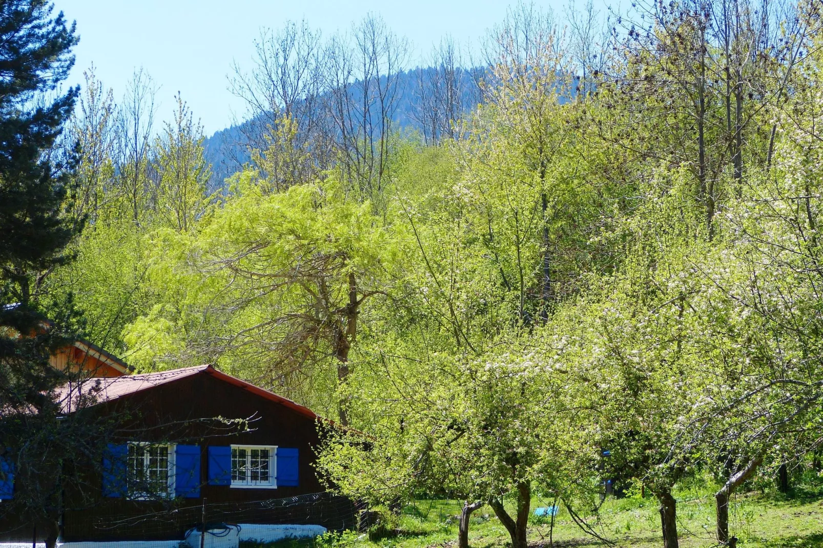 A little house in the mountains-Tuinen zomer