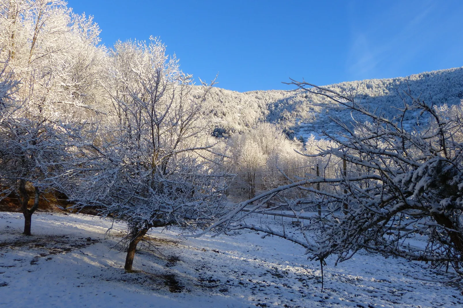 A little house in the mountains-Tuin winter