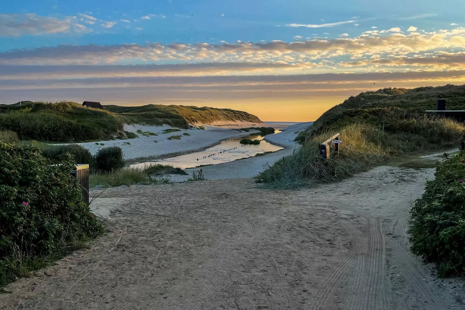 6 persoons vakantie huis in Henne-Buitenlucht