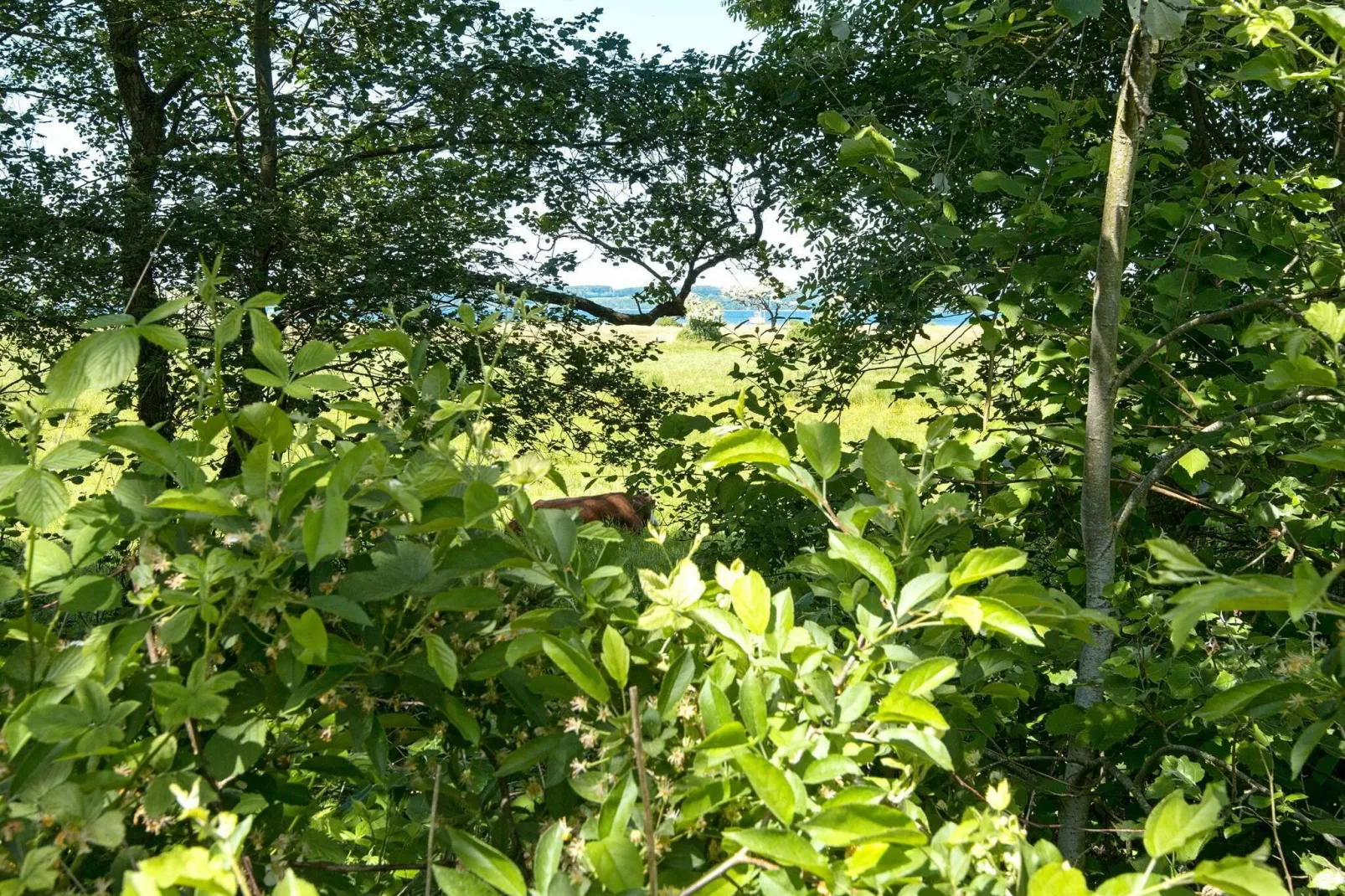 4 persoons vakantie huis in Aabenraa-By Traum-Waterzicht