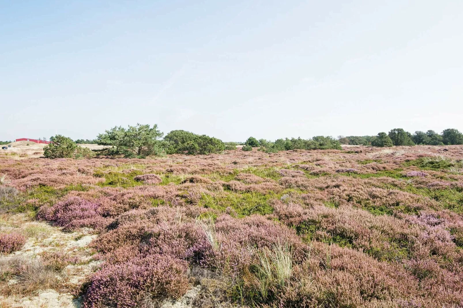 Rustig gelegen vakantiehuis in Fanø met houtkachel-Uitzicht