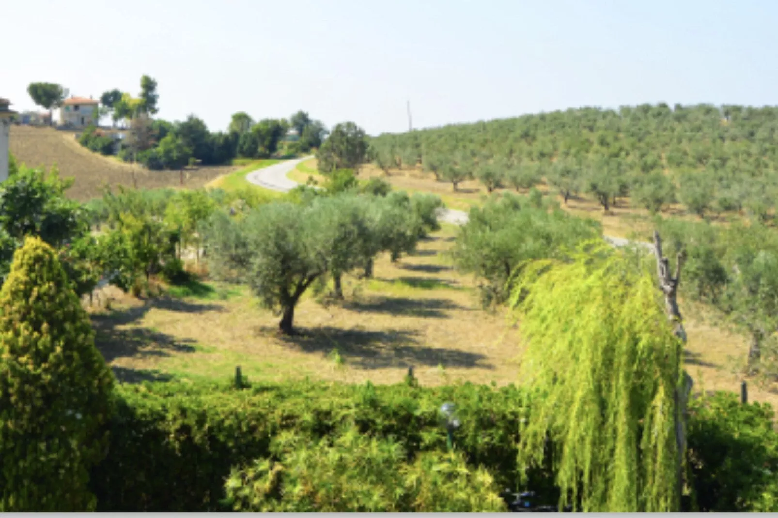 Villa Maria Teresa-Gebieden zomer 20km