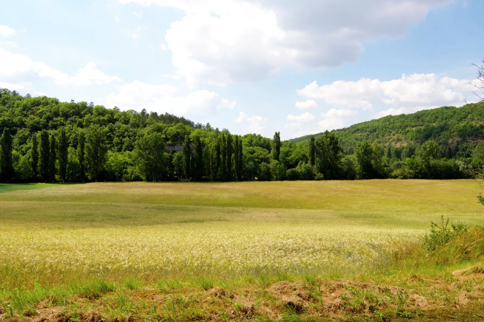 Le Pigeonnier-Gebieden zomer 1km