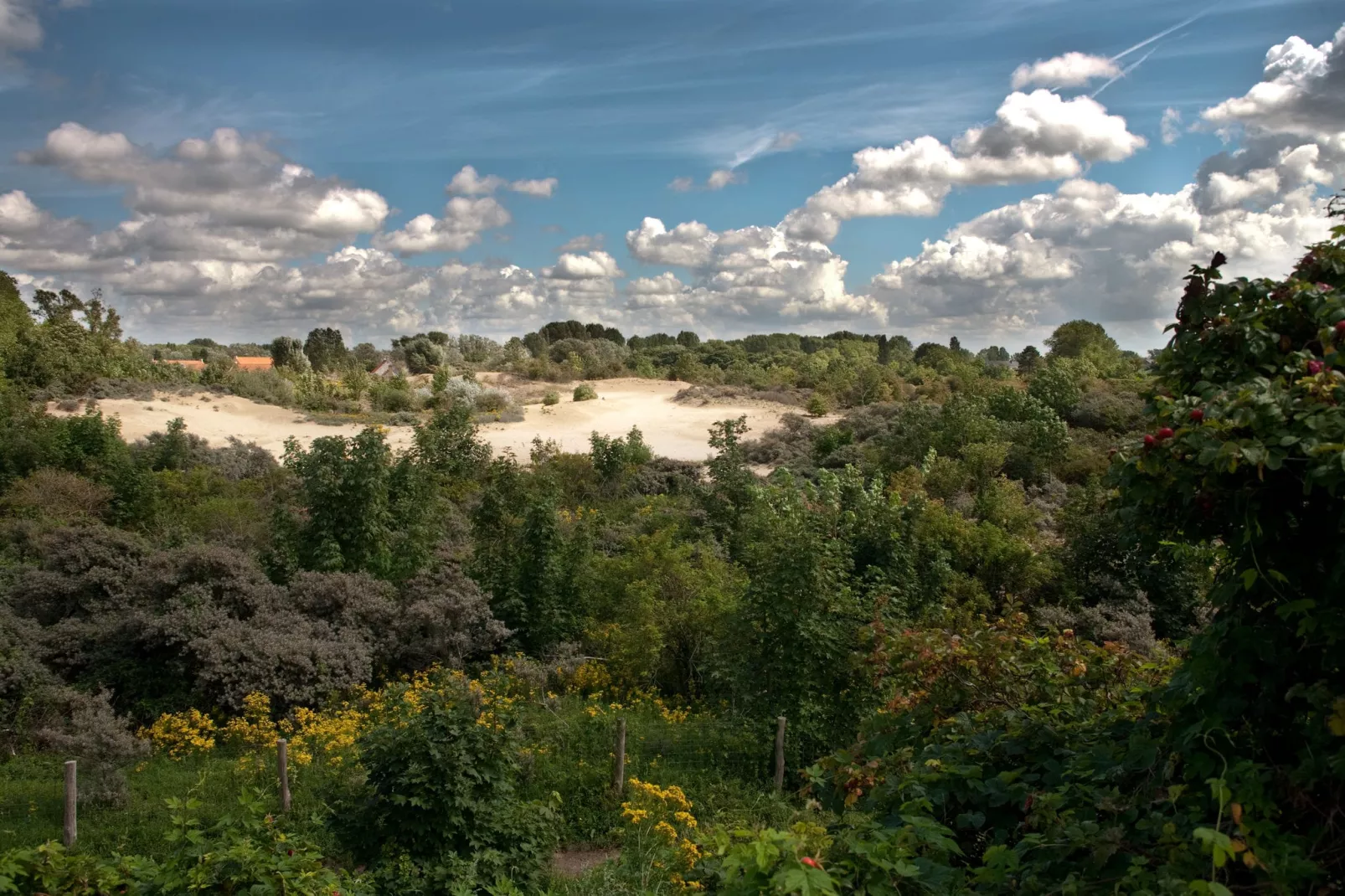 Villa Anemoon-Gebieden zomer 1km