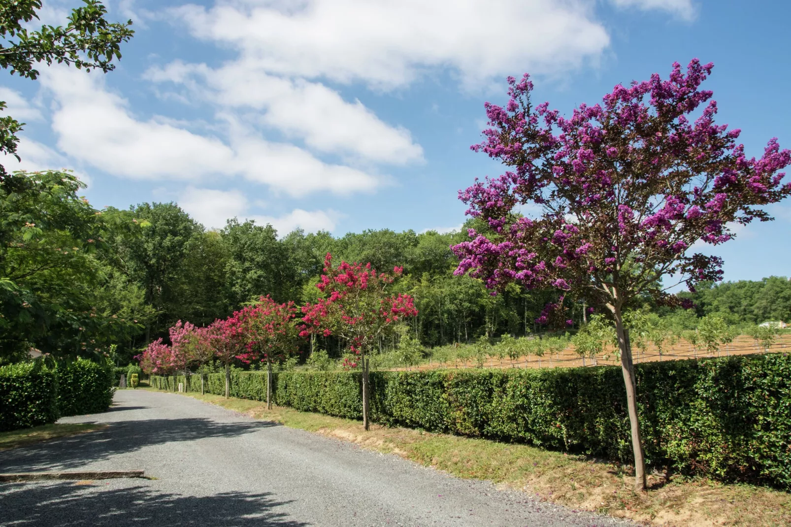 Parc Les Marrons - Tournesol-Gebieden zomer 1km