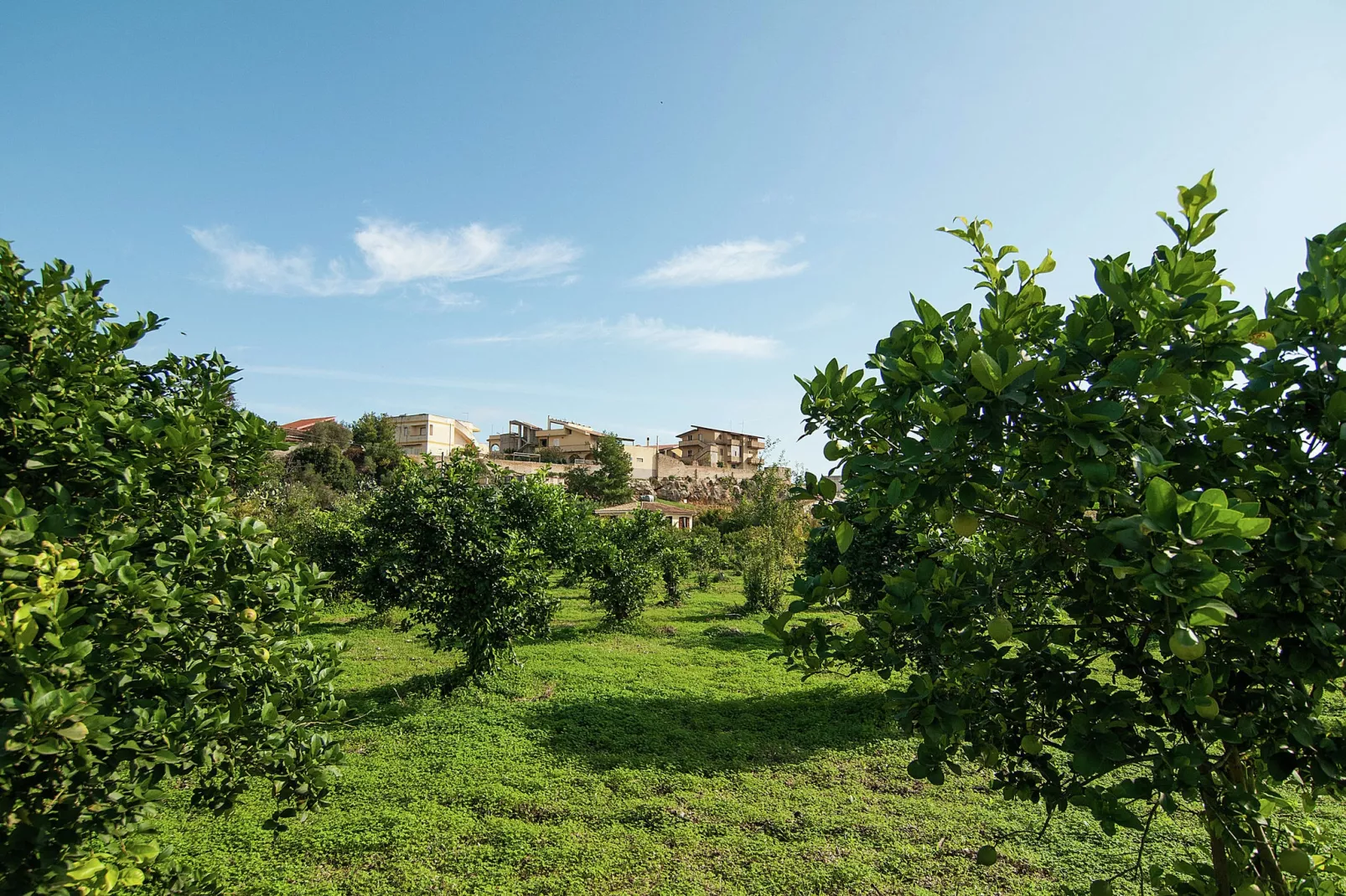 Casa del Limoneto Noto Marina-Tuinen zomer