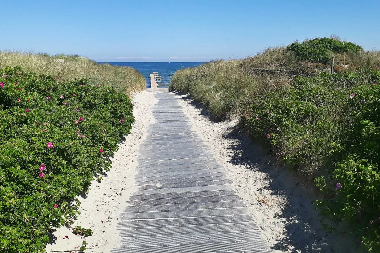 6 persoons vakantie huis in Jerup-By Traum-Niet-getagd