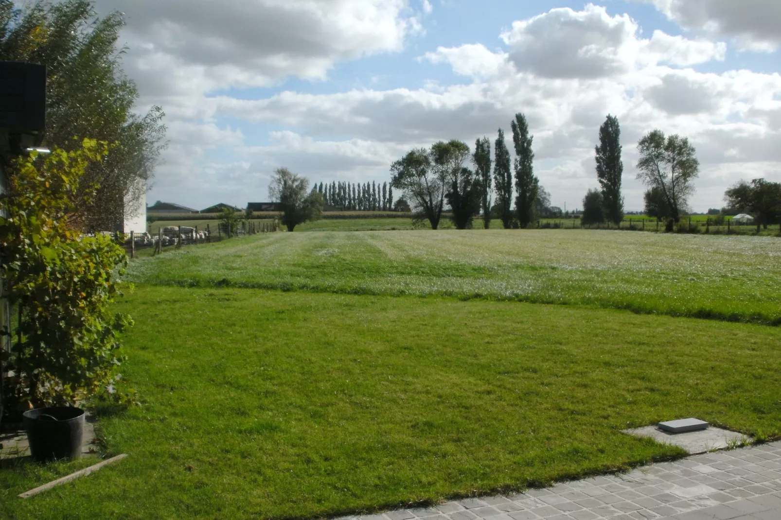 De Bietenmolen-Uitzicht zomer