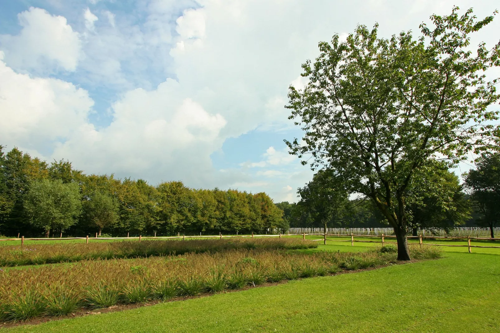 Goed van den Bogaerde-Tuinen zomer