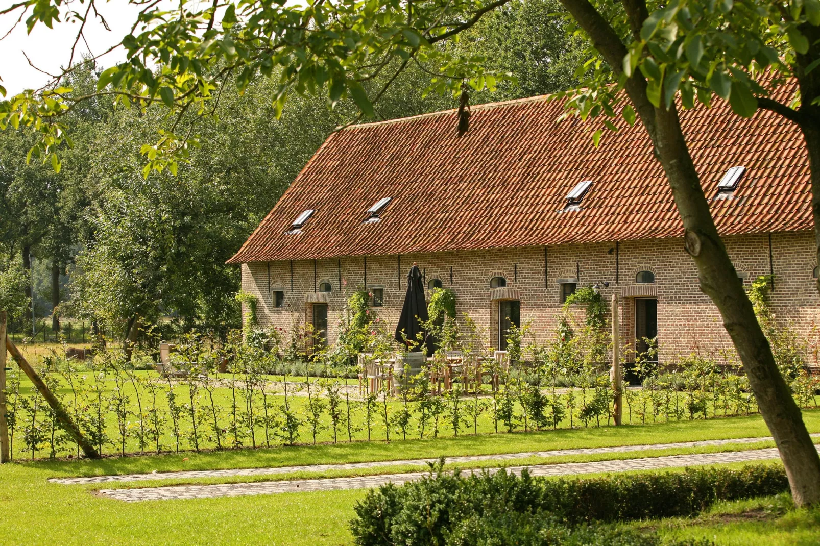 Stalvleugel-Buitenkant zomer