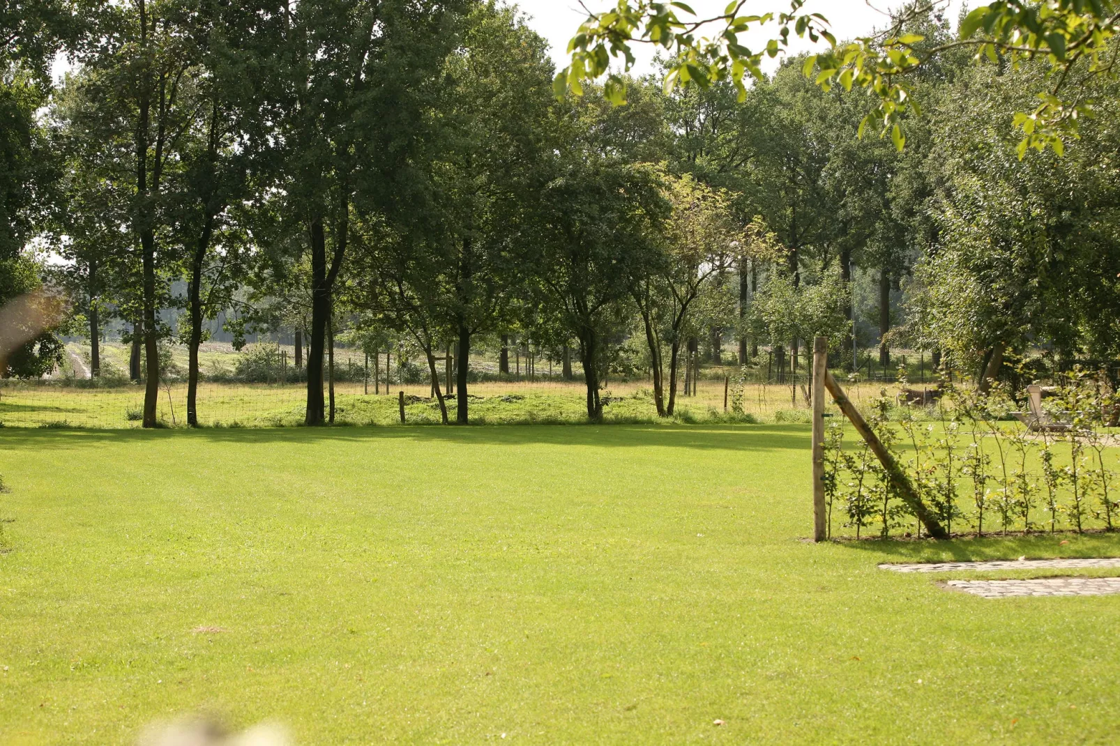 Stalvleugel-Uitzicht zomer