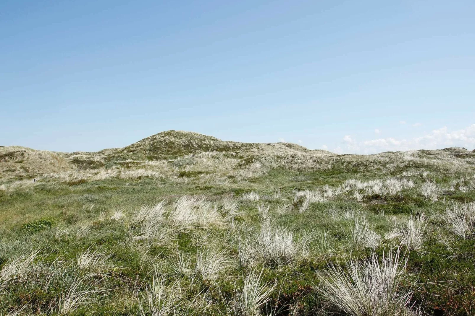 Rustig vakantiehuis in Pandrup bij heidevelden