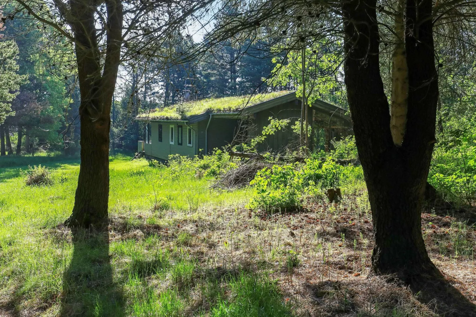 6 persoons vakantie huis in Blokhus-By Traum-Uitzicht