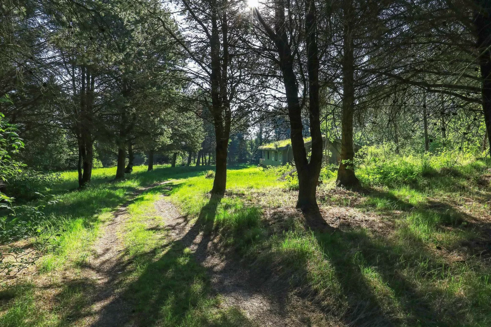 6 persoons vakantie huis in Blokhus-By Traum-Uitzicht
